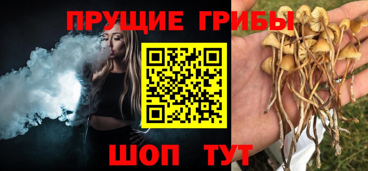 Галлюциногенные грибы мицелий Новоалтайск