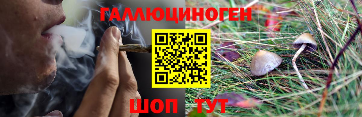 Новоалтайск  Галлюциногенные грибы Cubensis  Вход с VPN 